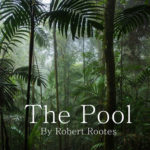 Robert Rootes Bestselling Author